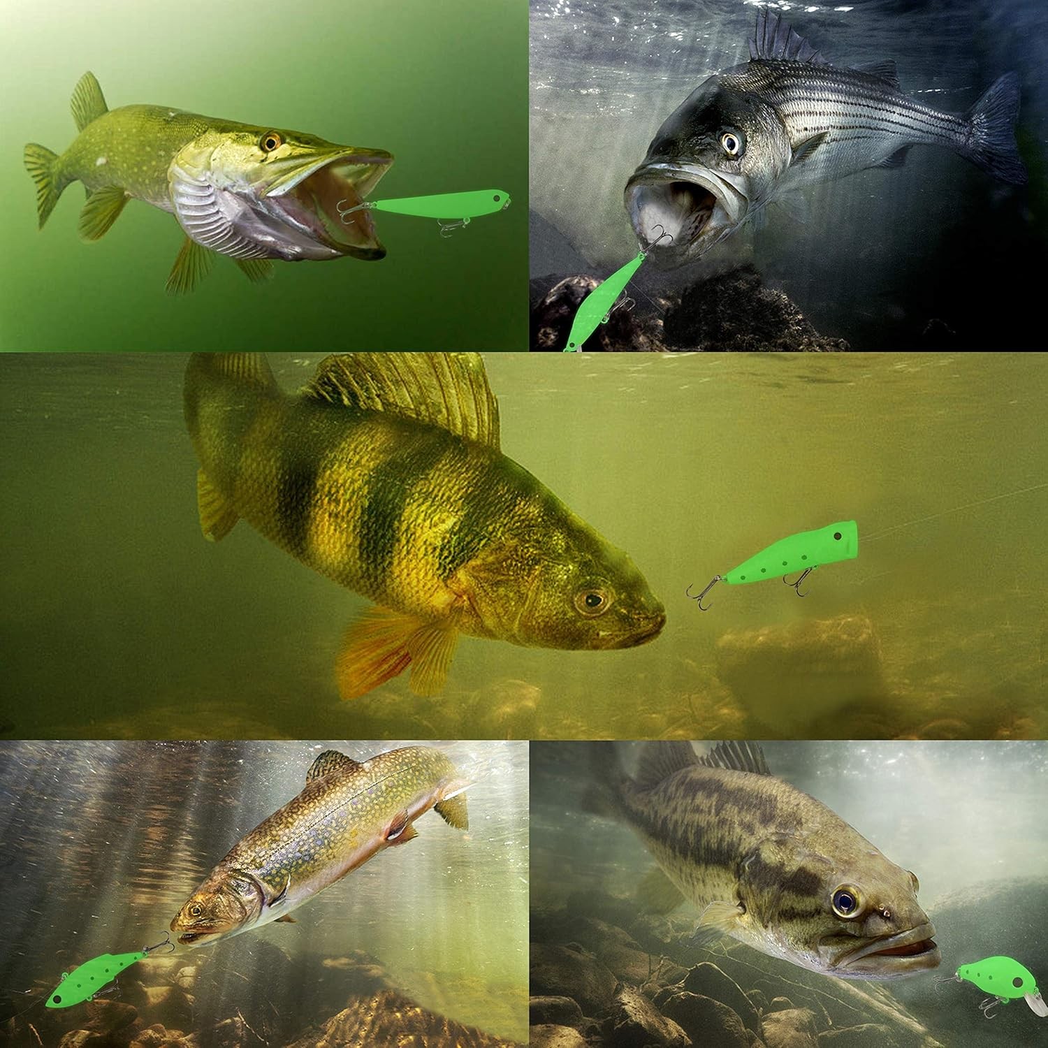 5pcs Minnow Crankbait Luminous Fishing Lures Set with Box Glow Fishing Bait - Image 5