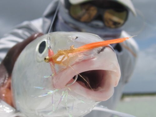 Andros Special Bonefish Selection Size 2 or 4 (12 Flies) - Gamakatsu Hooks! - Image 4
